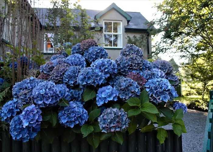 1 Bed Flat - Sleeps 2 - Parking - Wifi דירה *